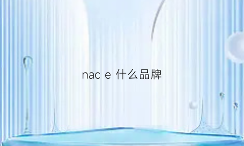 nace什么品牌(nachi是什么牌子)